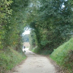 dsc 0531 - Sportraad Zaventem 